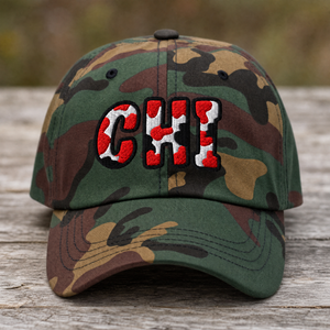 chicago bulls hat